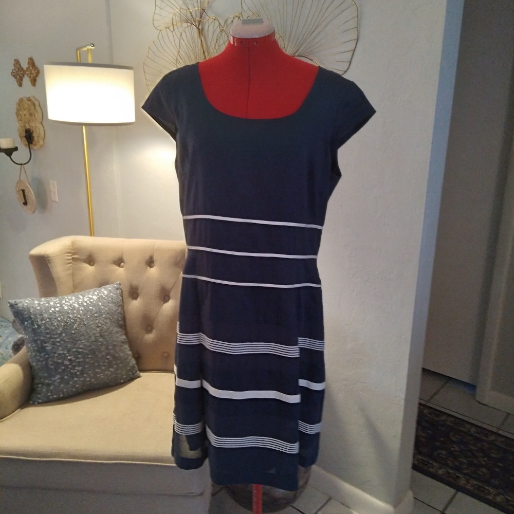 Ann Taylor navy white dress